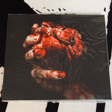 Cargar imagen en el visor de la galería, FORGOTTEN TOMB: We Owe you Nothing (CD)
