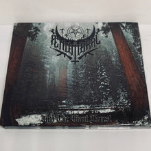 Load image into Gallery viewer, PENUMBRAL: Into the Giant Forest (CD)

