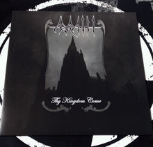 Load image into Gallery viewer, AGRATH: Thy Kingdom Come (12&quot; Black Vinyl)

